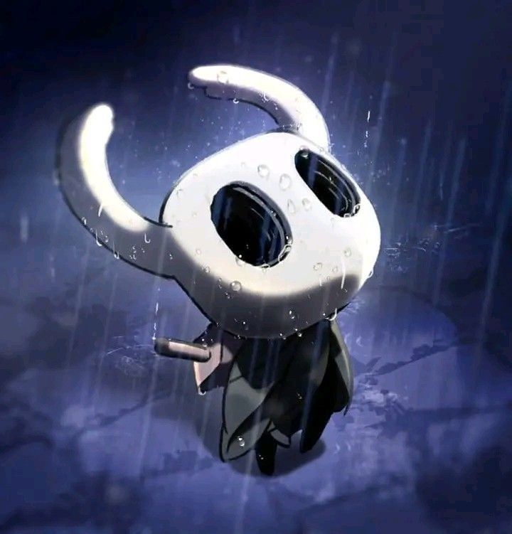 Hollow Knight